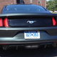 Illustration for article titled Ford Mustang: Will It Rally?